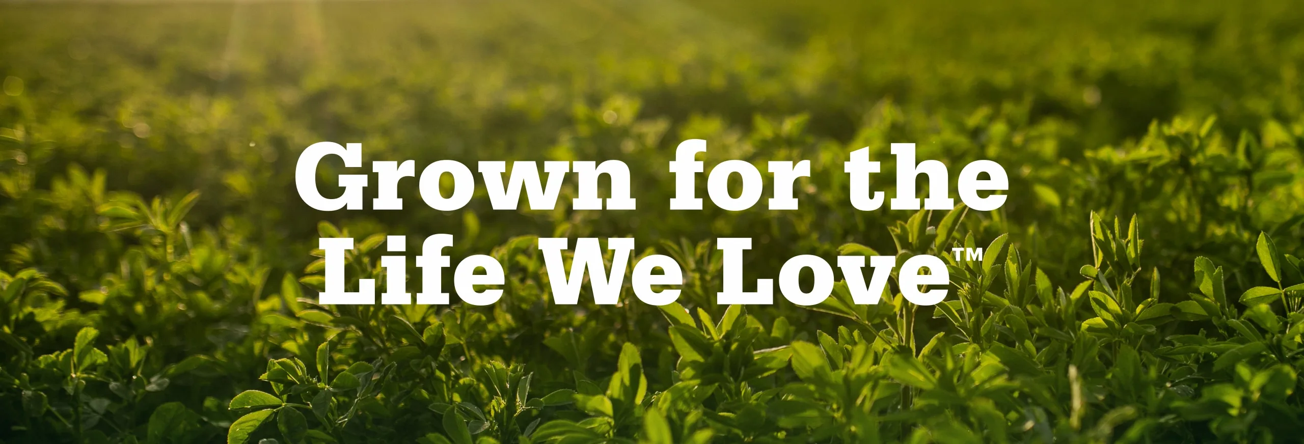 Standlee grown for the life we love - marketing, tagline