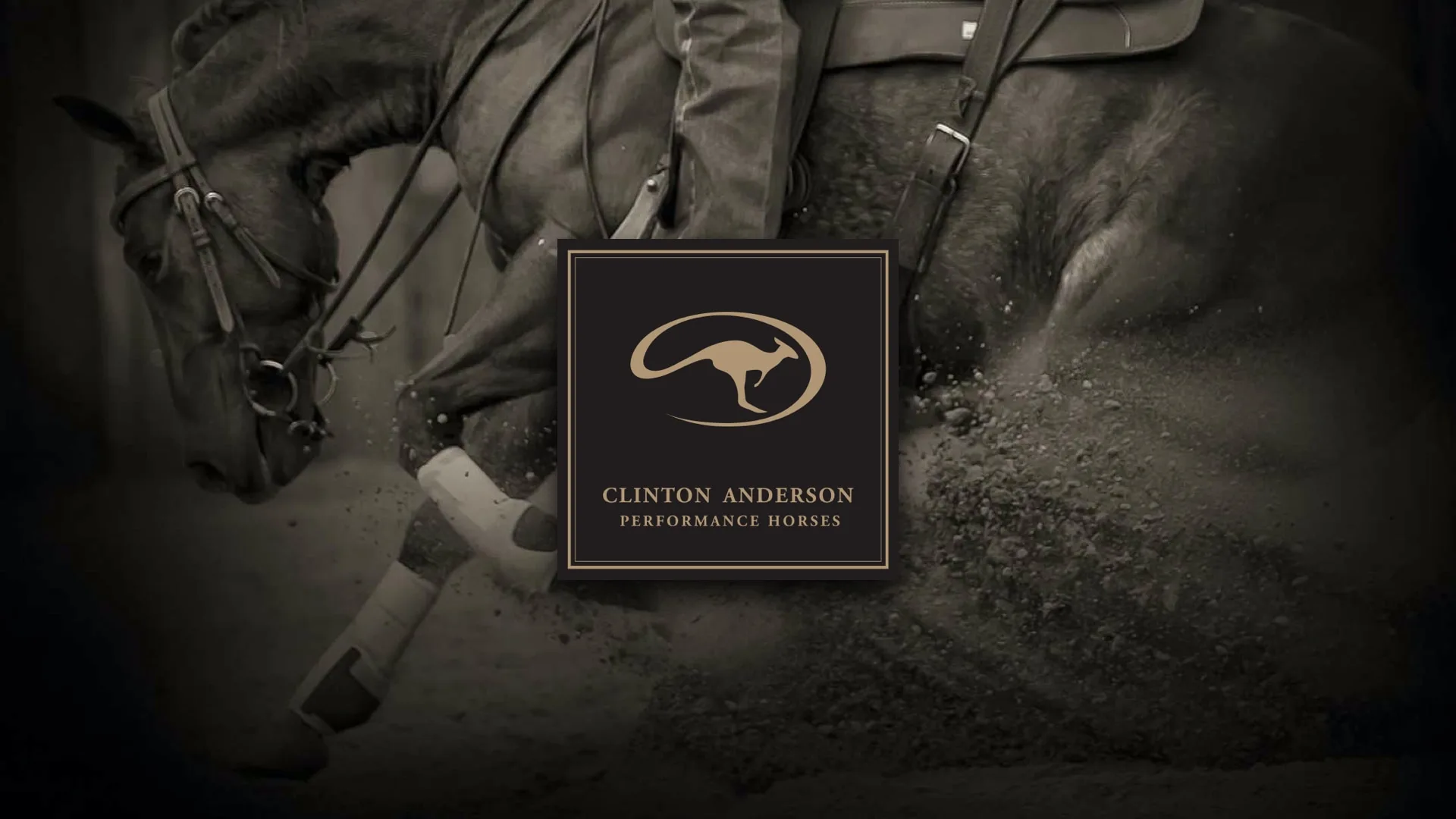 Clinton Anderson performance horses - logo design, branding, graphic design