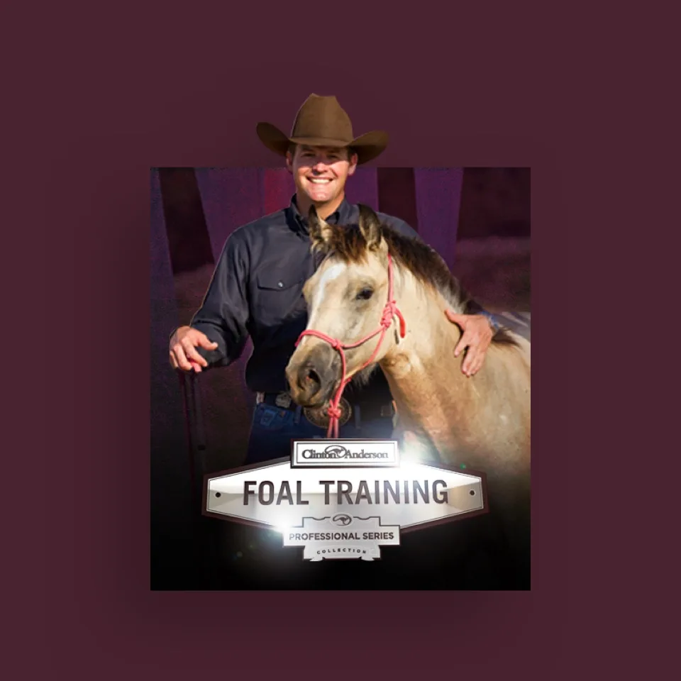 Downunder Horsemanship foal training kit