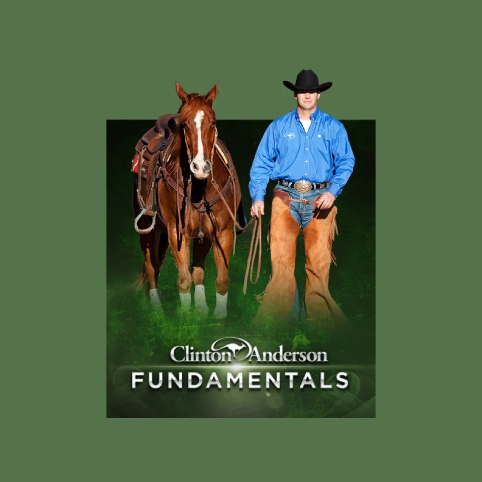 Downunder horsemanship fundamentals kit
