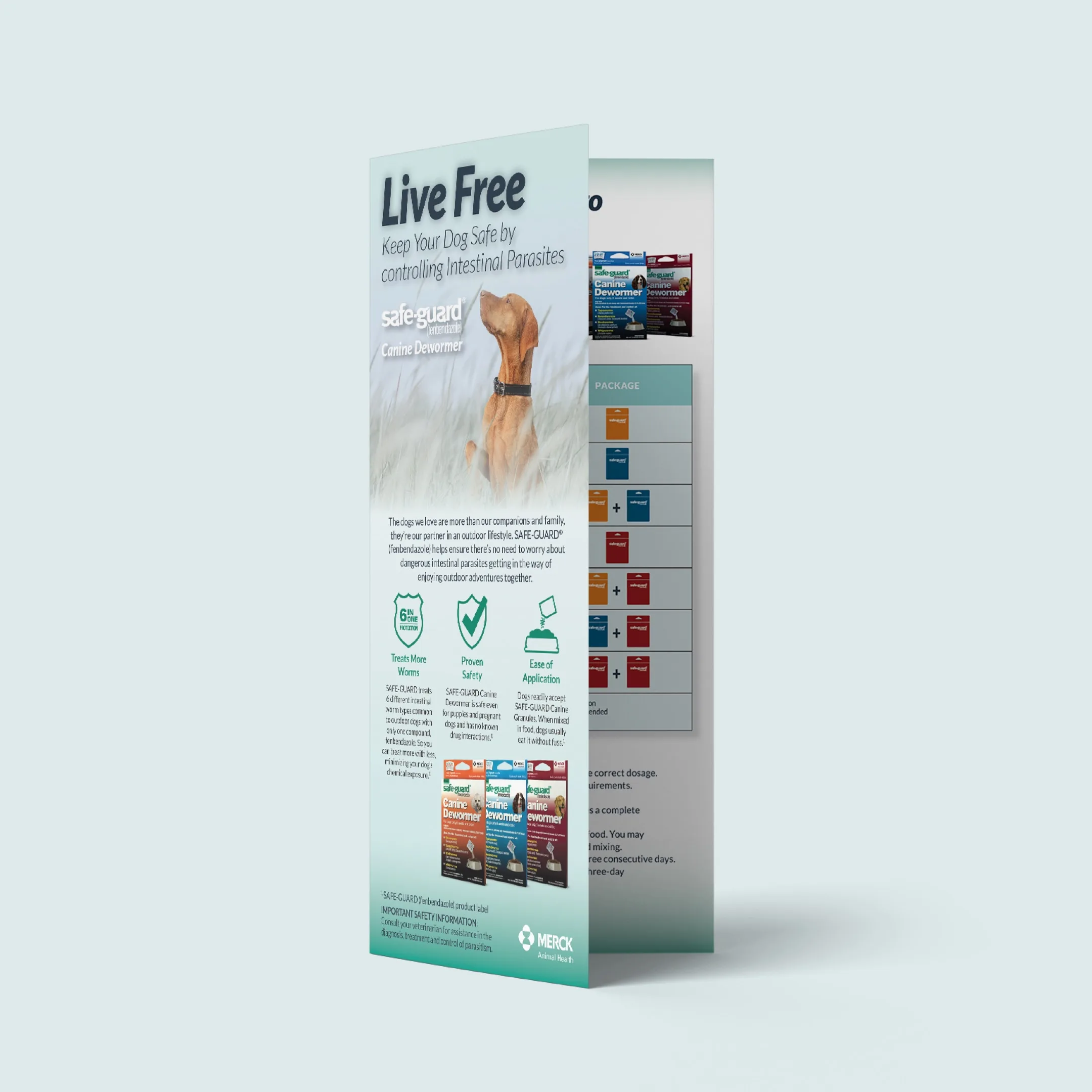 Live Free brochure
