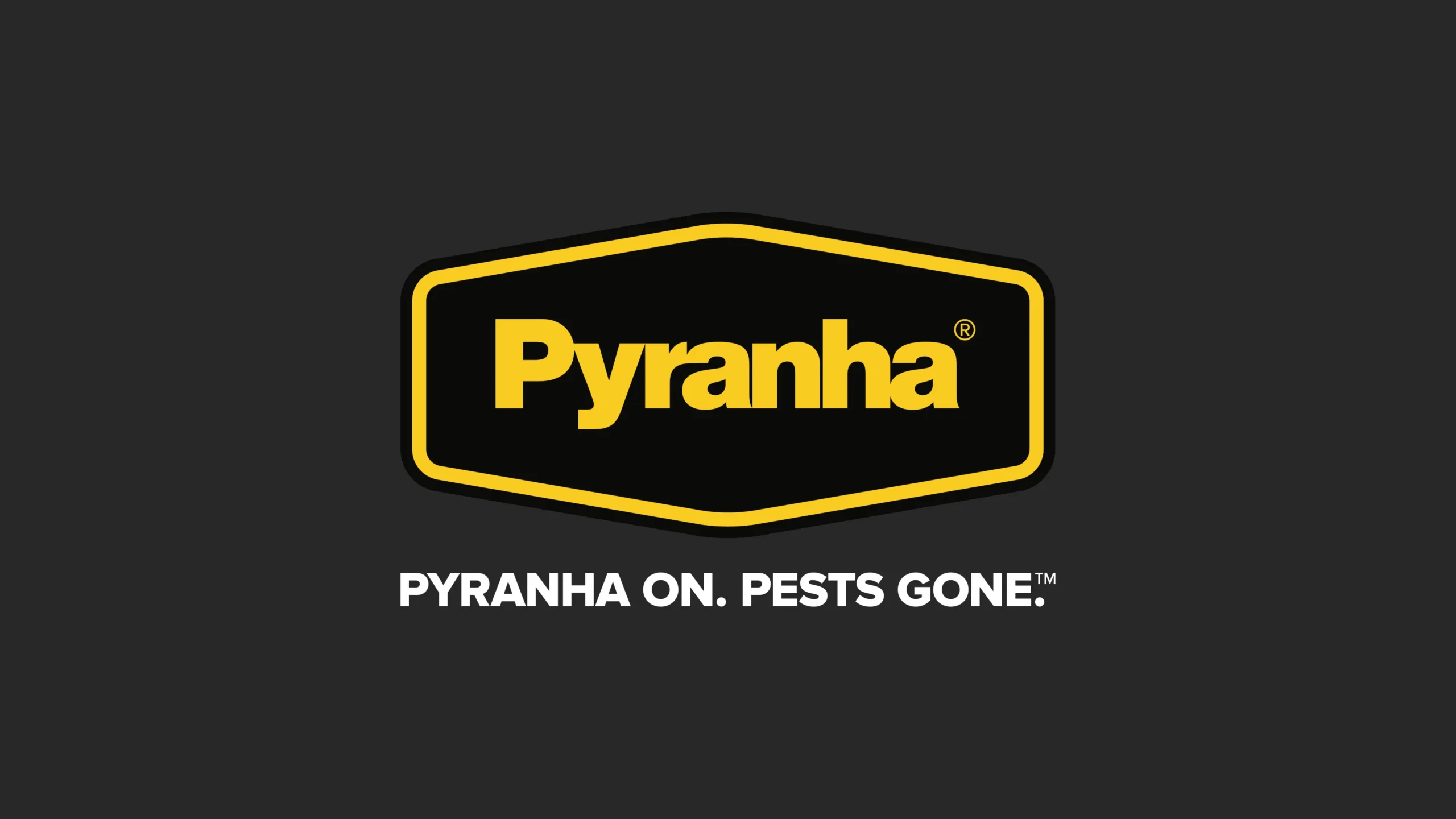 Pyranha branding - logo design, marketing and advertising