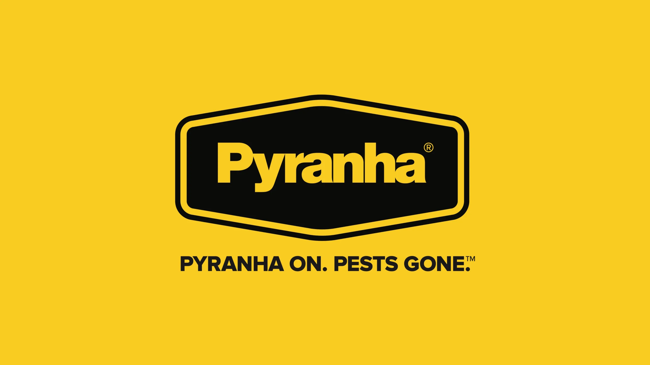 Pyranha branding - logo design