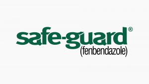 Safe-guard logo design branding and advertising