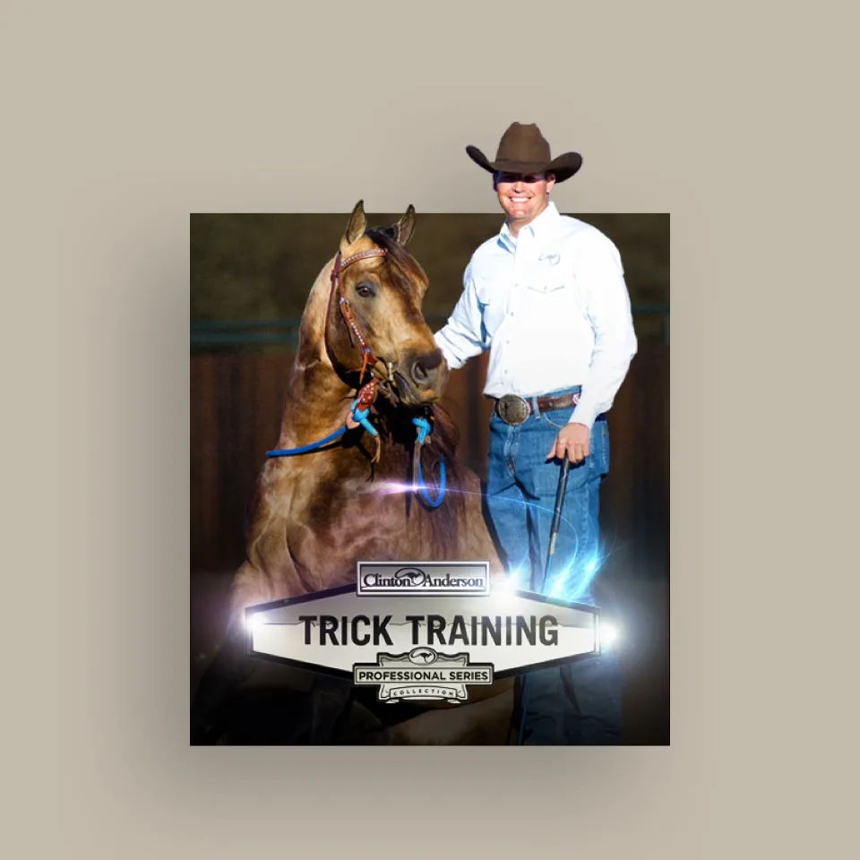 Downunder Horsemanship trick training kit