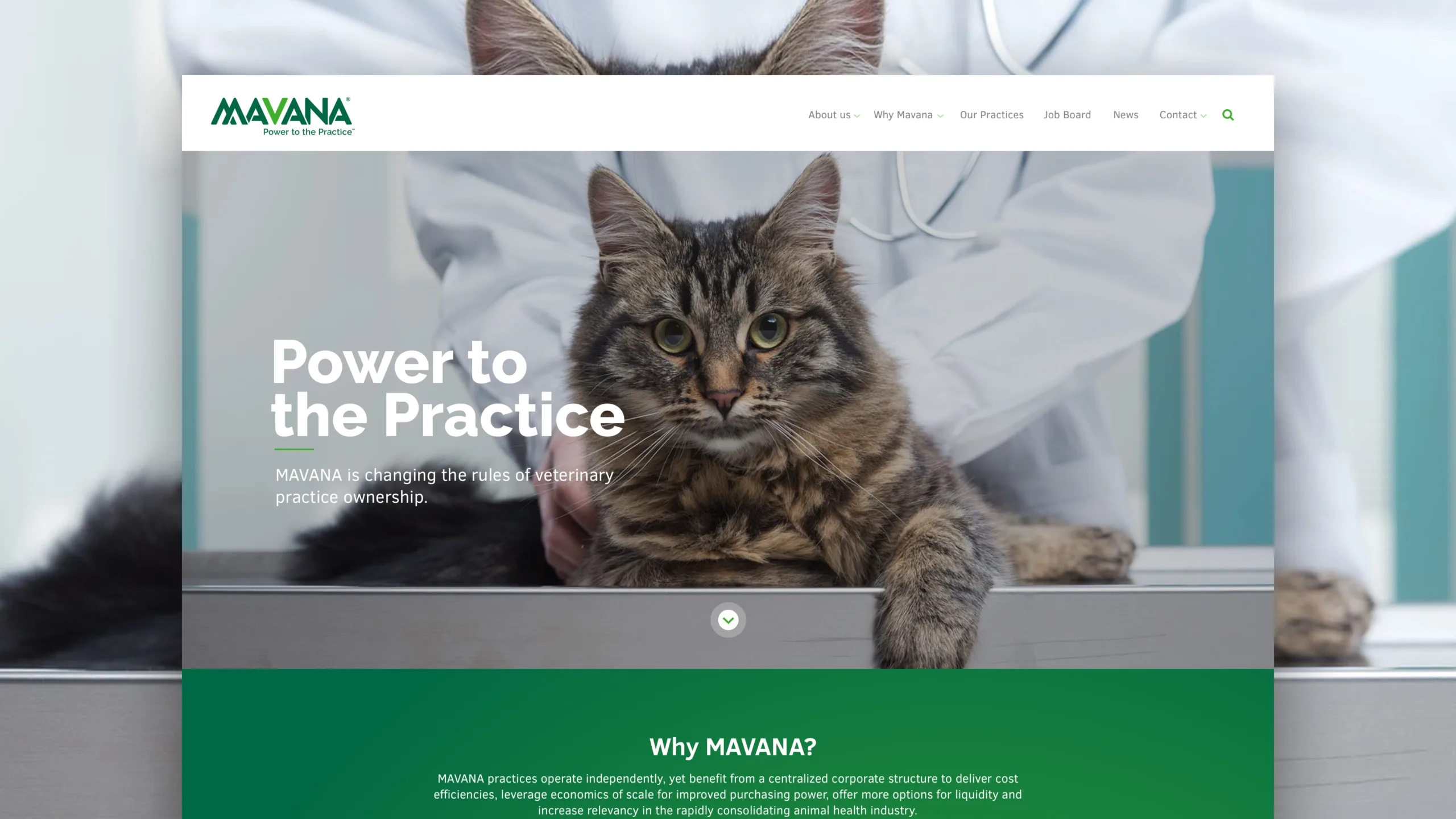 Mavana web design, web development