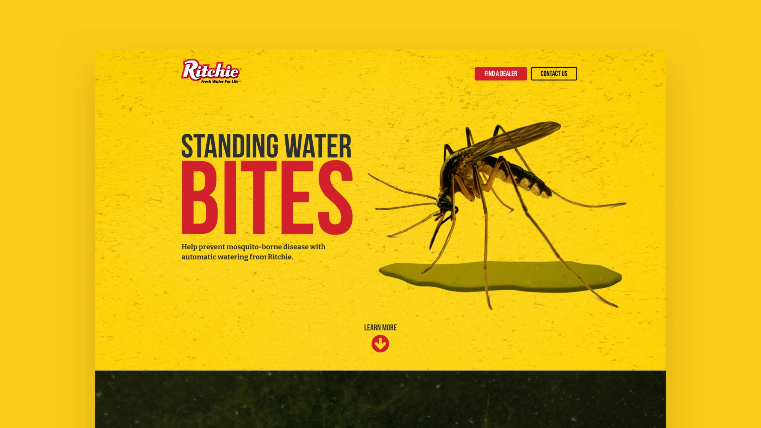 Standing Water Bites Ritchie microsite