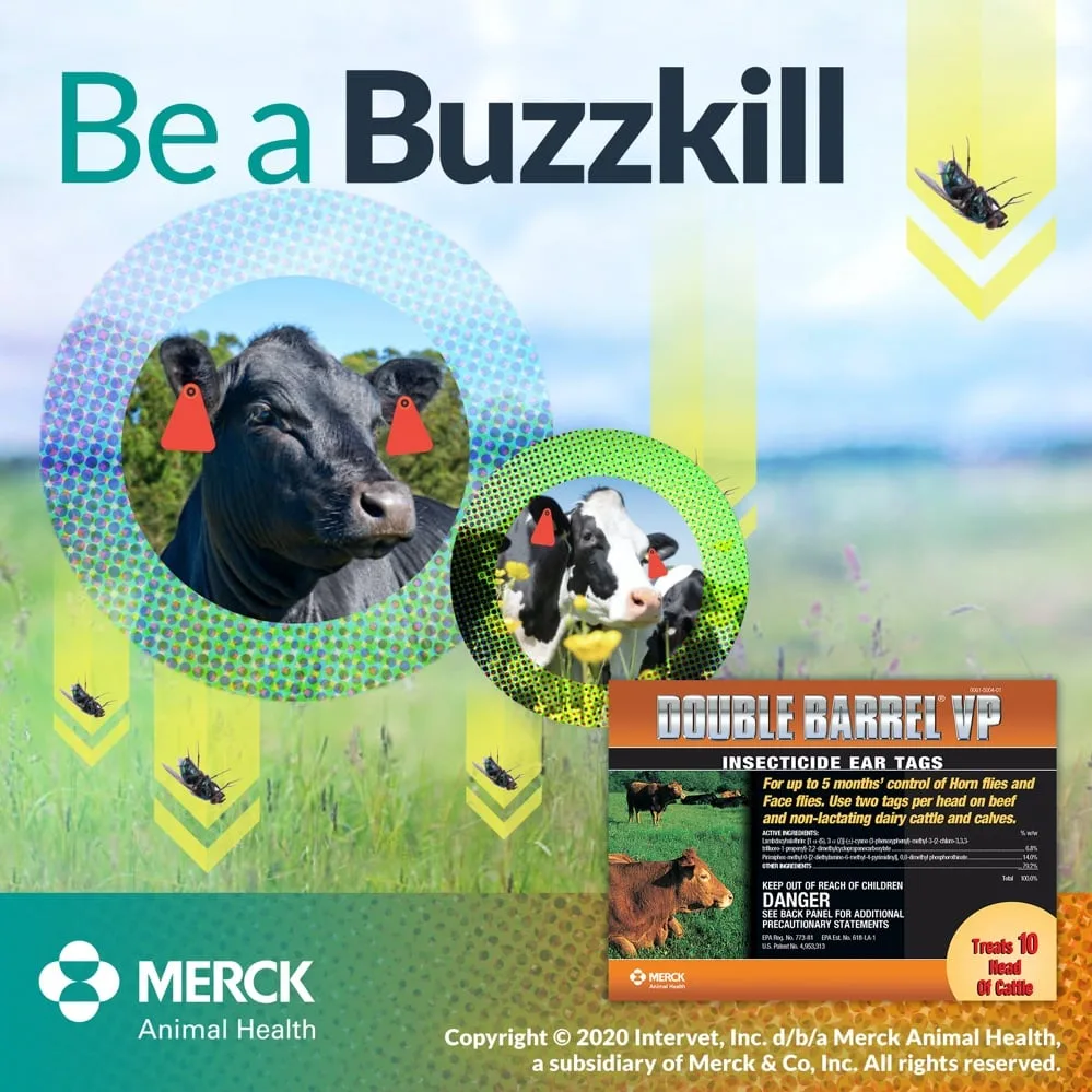 Merck Animal Health ecommerce double barrel VP