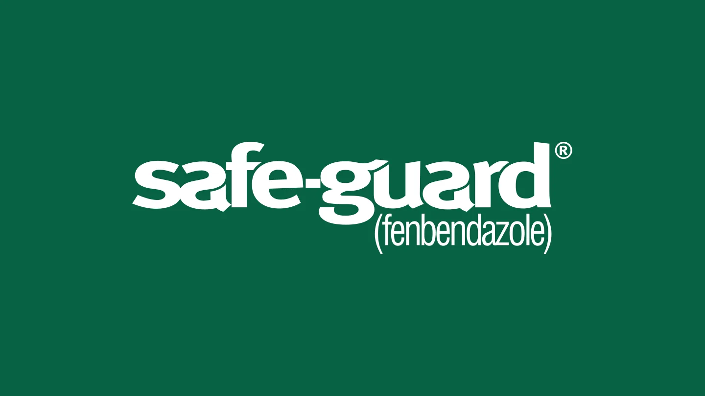 safe guard logo