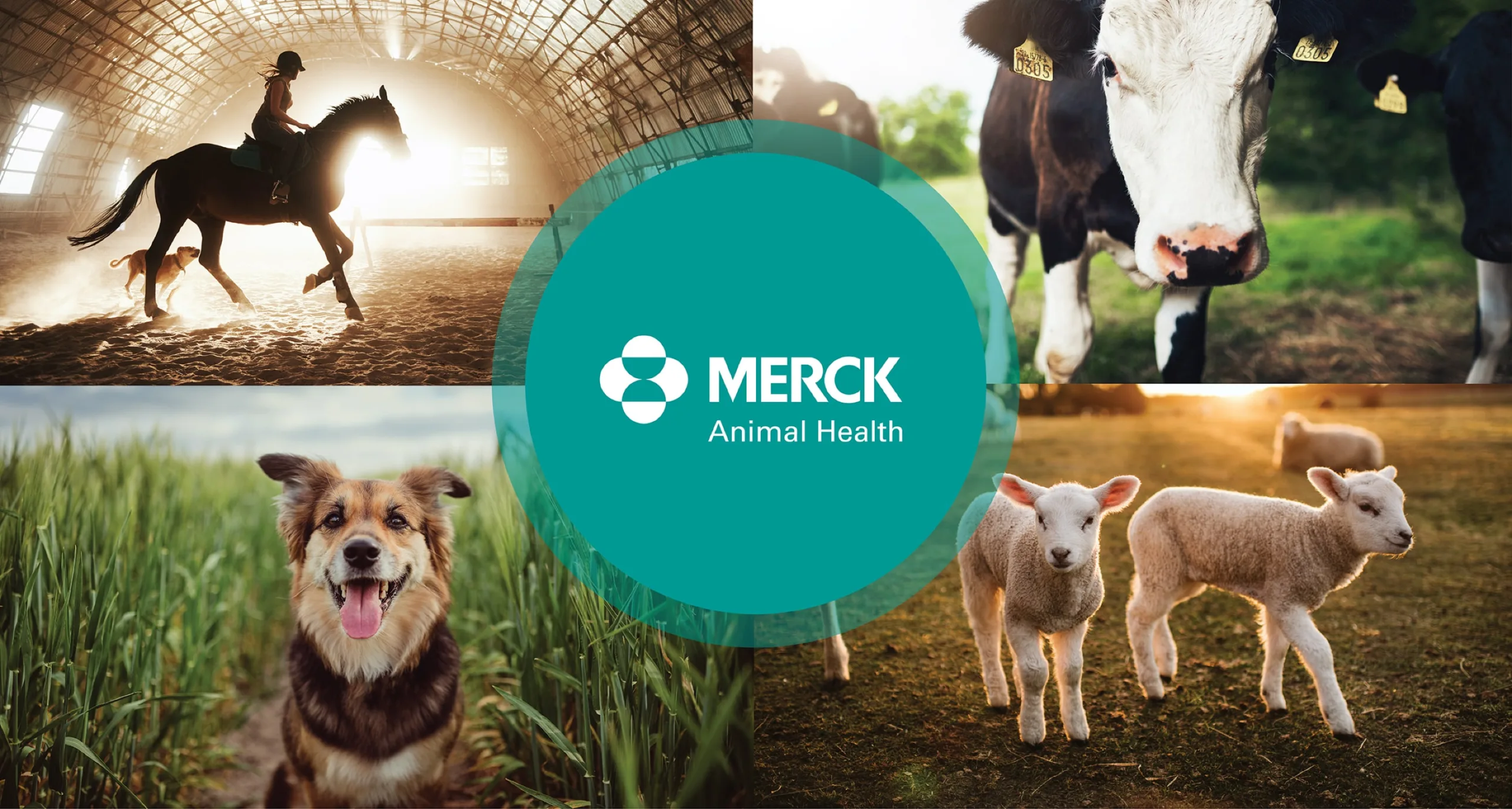 Marketing and Branding Merck Animal Health STEWART