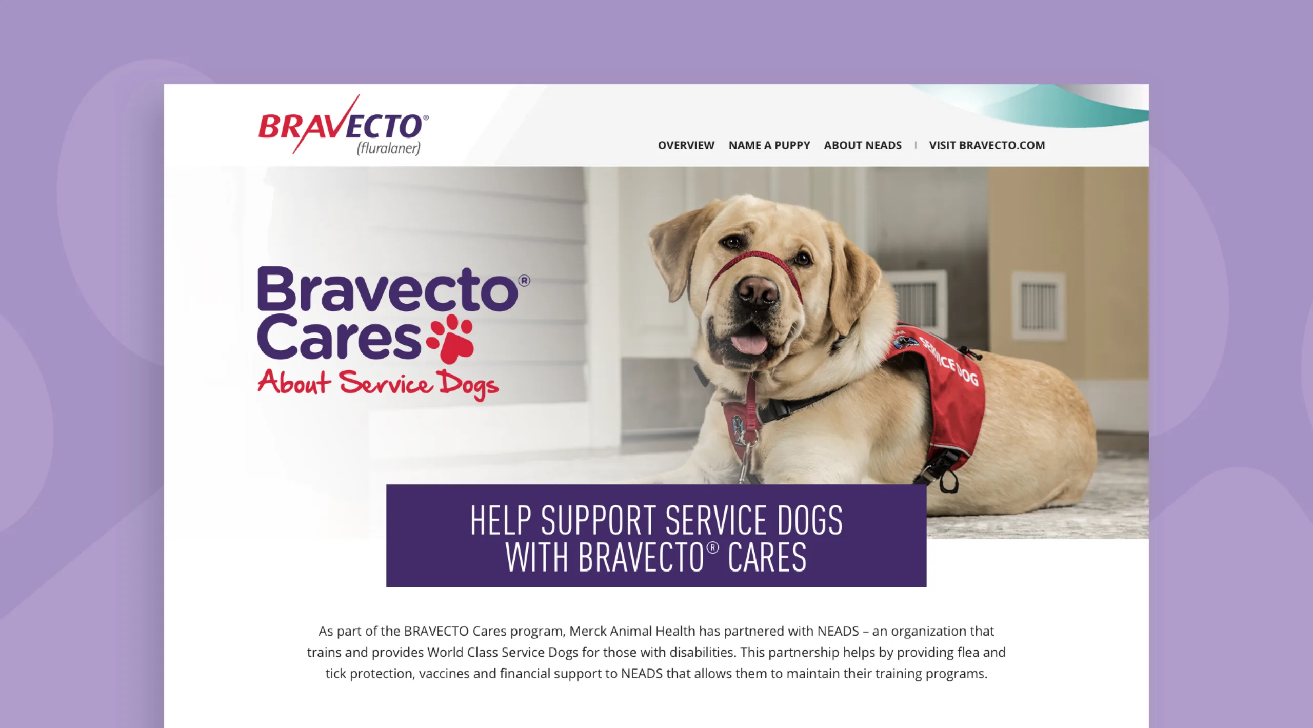 Bravecto Cares website