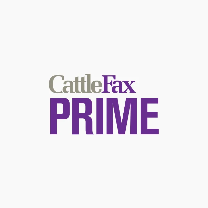 cattlefax prime